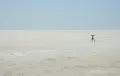Rann of Kutch