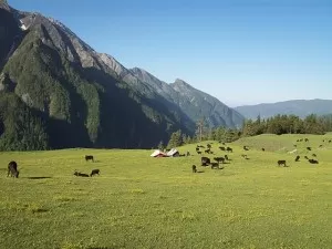 Rohru valley Bajrang Bahadur Singh