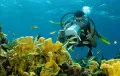 Scuba Diving in India
