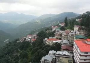 Shimla travel guide Daranghati Sanctuary Shimla hills Daranghati Sanctuary