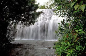 Thommankuth waterfalls kerala tourism