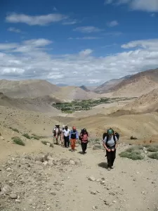 Fun Things to do in Ladakh Camel Safari Ladakh Trekking in ladakh Camel Safari Ladakh