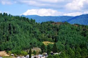 Ziro Hill Station Accommodations in Ziro Ziro hill station Accommodations in Ziro