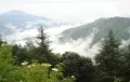 Chail Travel Guide-Himachal Pradesh