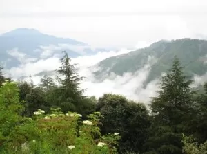 Chail Travel Guide-Himachal Pradesh Chail chail himachal pradesh Chail