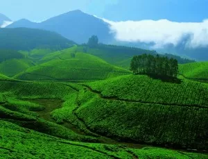 Hill Stations in Kerala Hill Stations in Kerala devikulam Kerala Hill Stations in Kerala