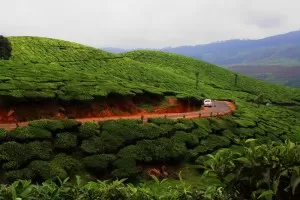 Munnar - Call from the Depth of Nature Munnar tourism munnar Munnar tourism