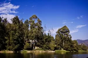 ooty lake Anantagiri Hills