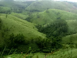 Vagamon Hill Station - Kerala Adventure at Vagamon vagamon kerala Adventure at Vagamon