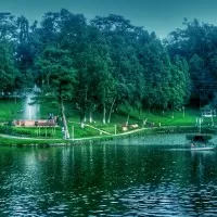 1417161144 wards lake