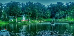 1417161144 Wards Lake