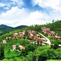 best hill stations near Bangalore