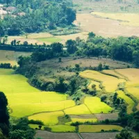 Arguably the best honeymoon places in India in January Coorg012 704x385