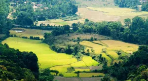 Coorg012 704x385