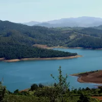 Arguably the best honeymoon places in India in January Emerald Lake Nilgiris