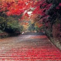 Arguably the best honeymoon places in India in January Nainital