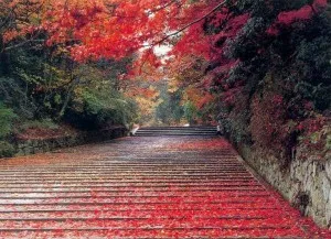 Nainital