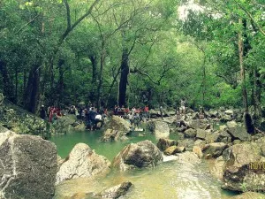 Pachmarhi 241