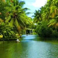 Arguably the best honeymoon places in India in January backwaters of alappuzha in kerala1