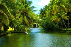 Backwaters Of Alappuzha In Kerala1
