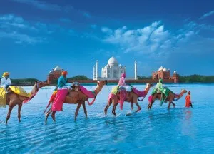 Domestic Tours India