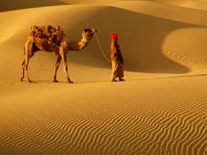 Rajasthan 1