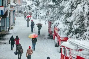 Shimla Snow Himachal Travel Photography MG 0499