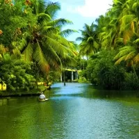 The Most Appealing Top 5 Honeymoon Destinations in India Backwaters of Alappuzha in Kerala1