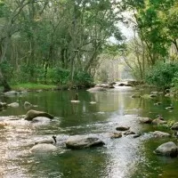 Chinnar Wildlife Sanctuary 3