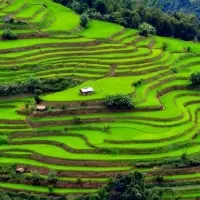 DMUN0003 02Feb2016051609