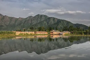 Kashmir 40