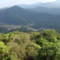Landscape in Coorg