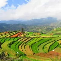 Poomparai VillageView 2