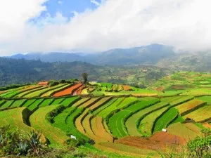 Poomparai VillageView 2