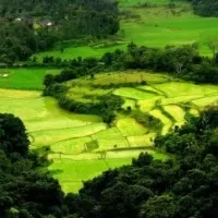 xcoorg 4 1426328769u110.jpg.pagespeed.ic .fpqWeOZ4 3