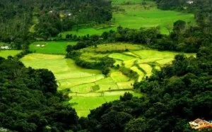 Xcoorg 4 1426328769u110.jpg.pagespeed.ic .fpqWeOZ4 3