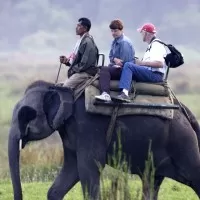 30 things do to after turning 30 in India Elephant safari in Kaziranga