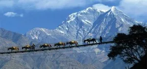 Darjeeling Gangtok