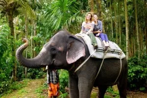 things to do in India