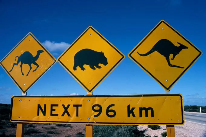 Why You Should Visit Australia Visit Australia