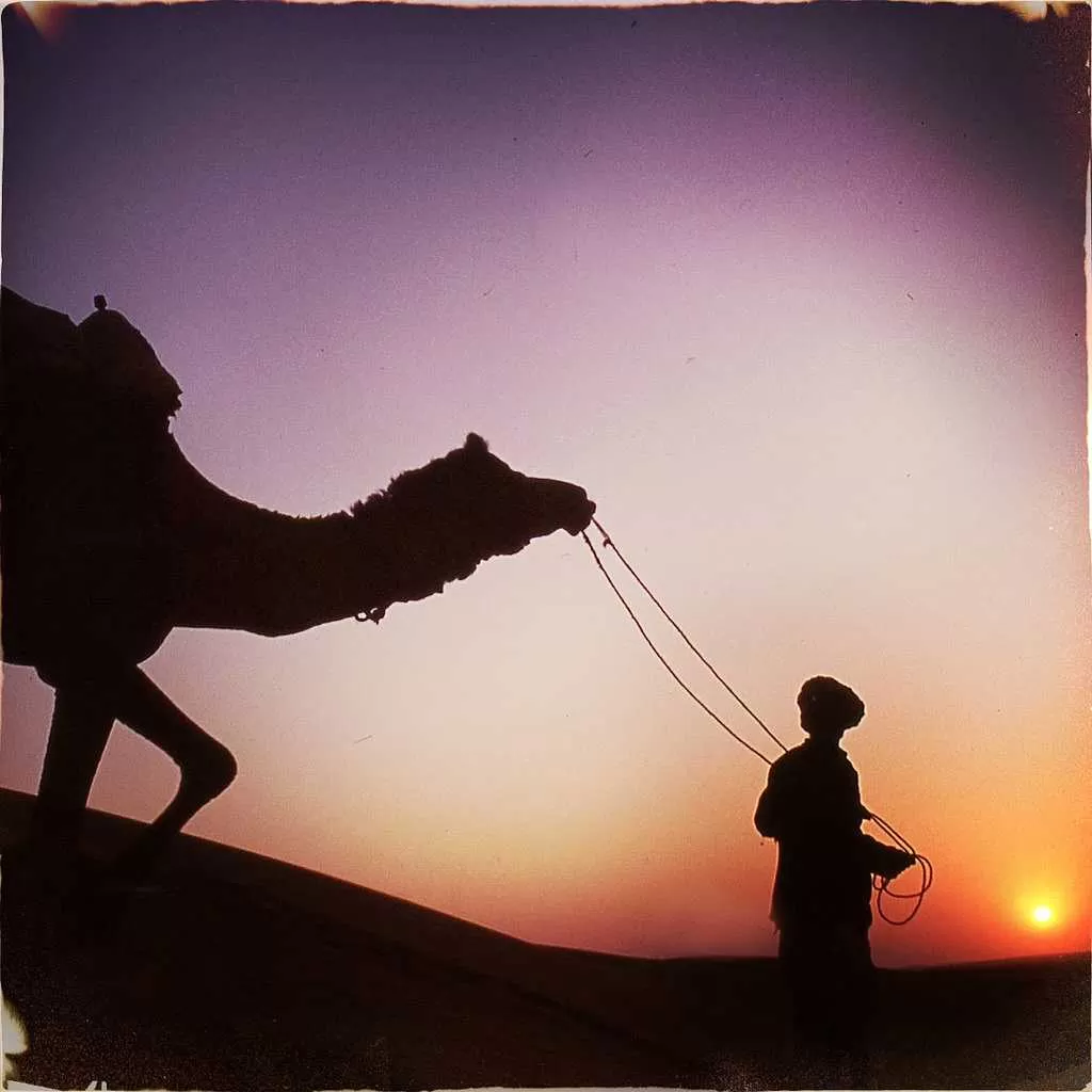 8 Best solo travel destinations in India solo travel destinations 56 solo travel destinations