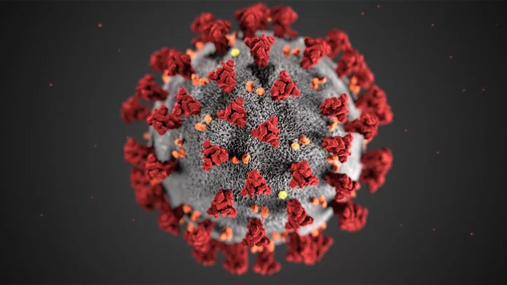 corona virus corona virus impact