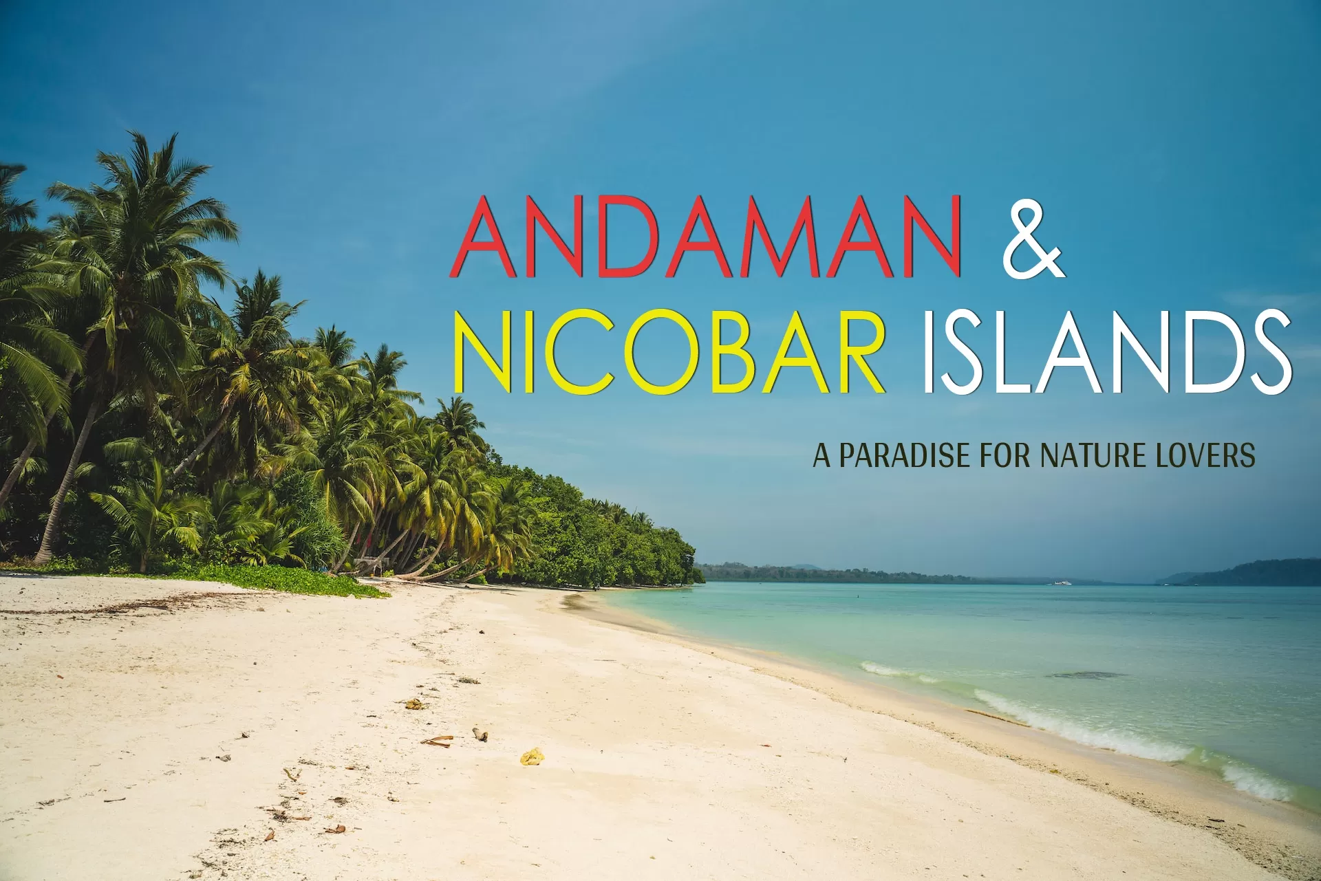 Top Tourist Places to visit in Andaman and Nicobar Islands: A Paradise for Nature Lovers Andaman Top Tourist Places to visit in Andaman and Nicobar Islands: A Paradise for Nature Lovers