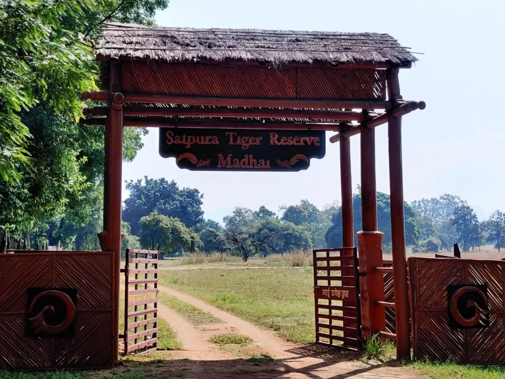 The Ultimate Guide to 5 Best Wildlife Safaris in India Safari Satpura National Park Safari